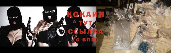 МДПВ Богородицк