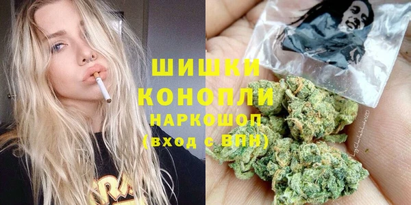 МДПВ Богородицк
