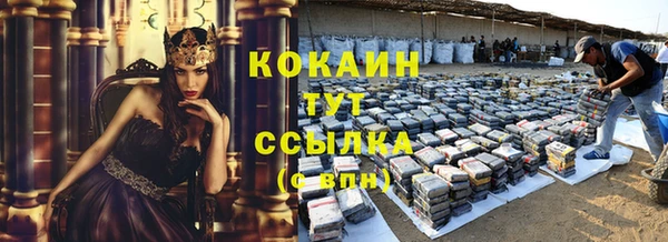 МДПВ Богородицк