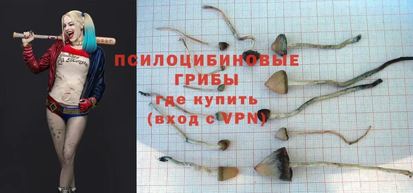 Альфа ПВП Богданович